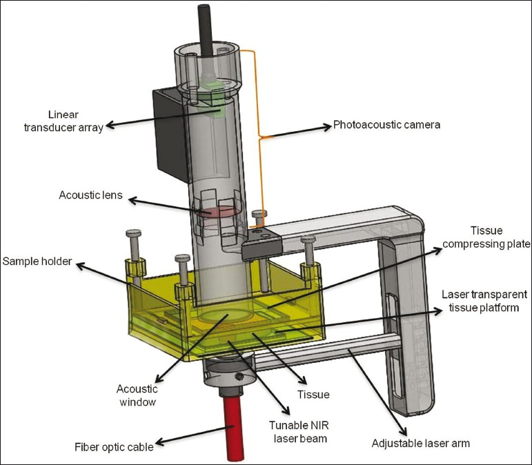 In vitrophotoacoustic imaging probe.