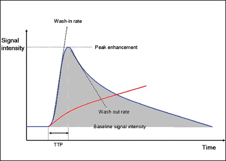 DCE-MRI enhancement curves for normal tissue (red) and malignant tumor tissue (blue). TTP = time to peak enhancement within tissue; area under the curve (AUC) = shaded region. Wash-in and wash-out rates represent the velocity of enhancement and velocity of loss of enhancement, respectively, and together with AUC reflect underlying characteristics of tumor microvasculature that facilitate tumor classification and differentiation.