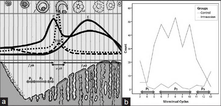 (a) Schematic view of the schedule of menstrual cycle. (b) Distribution of scheduling of HSG. Intravasation was observed to be higher in the post-menstruation (P1) and preovulation (P3) phases than in the mid-follicular (P2) phase.