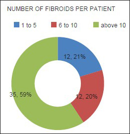 The number of fibroids per respondent. The number of fibroids per respondent was categorized into three groups: 1–5, 6–10, and >10. The number of participants in each category was then presented as a percentage: 59% of the participants had more than 10 fibroids, 21% had between 6 and 10 fibroids, while 20% had less than 5 fibroids.