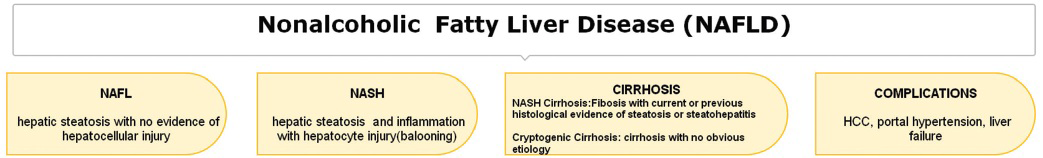 Defining the NAFLD spectrum.