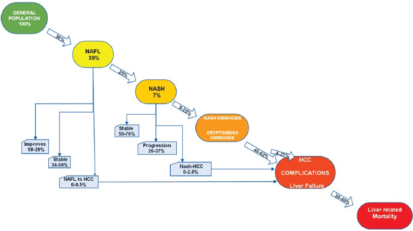 The natural history of NAFLD.