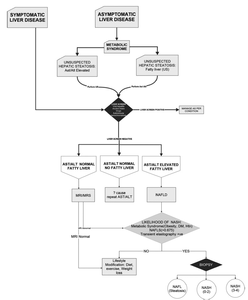 Management algorithm in the detection of NAFLD.