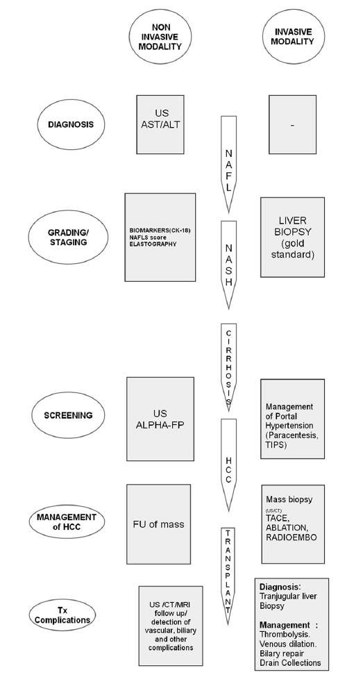 Role of imaging (invasive and noninvasive) in the grading and staging of NAFLD.