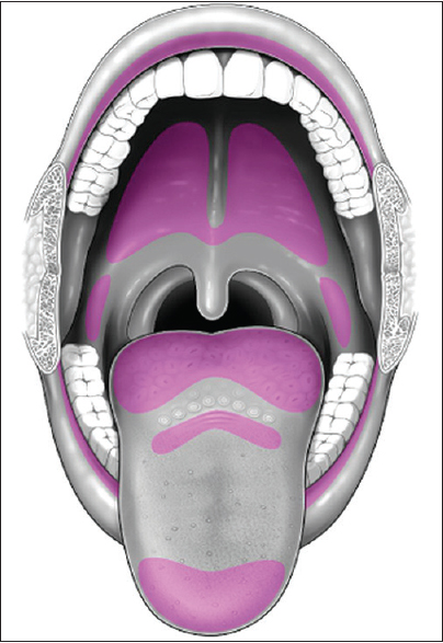 Review of the Major and Minor Salivary Glands, Part 1: Anatomy