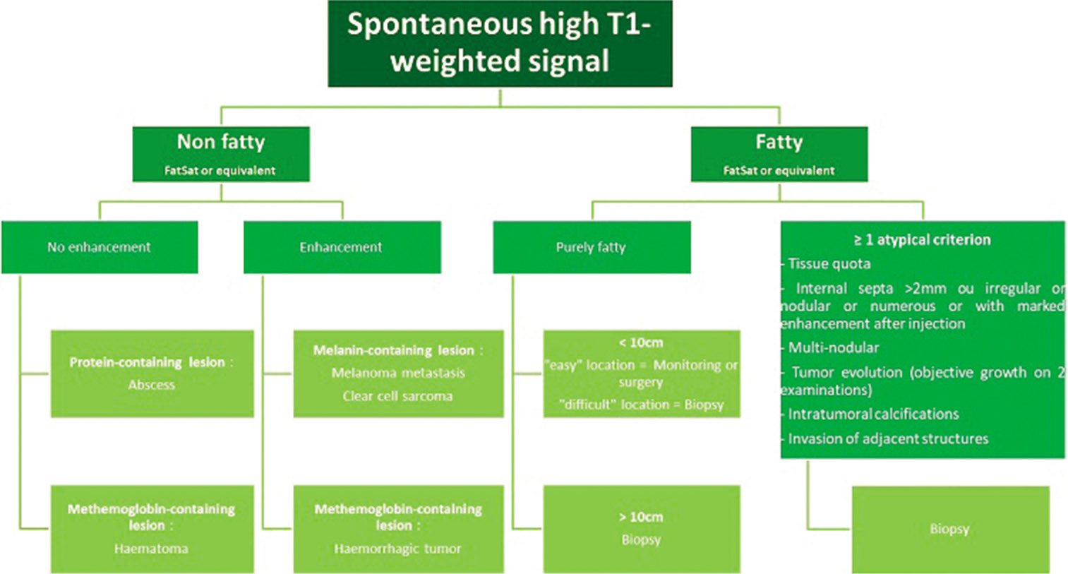 MRI diagnostic and management algorithm for lesions with spontaneous high signal on T1-weighted images.