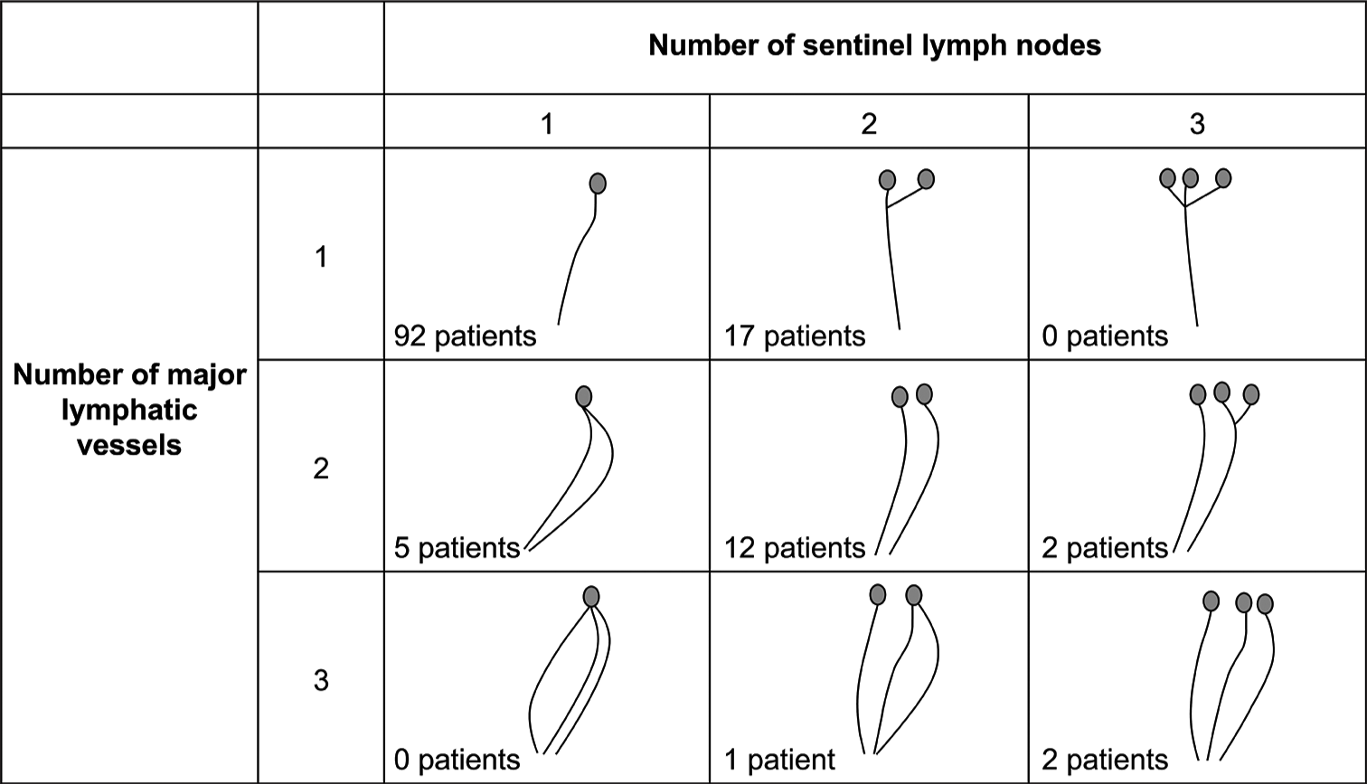 Relationship between major lymphatic vessels and true sentinel lymph nodes.