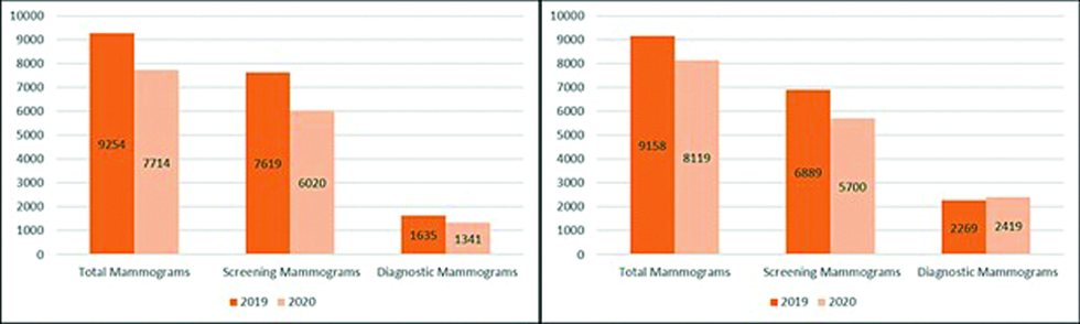 Mammograms performed at Institution A and Institution B in 2019 and 2020. Amount of total, screening, and diagnostic mammograms performed at institution A (left graph) and institution B (right graph) in 2019 and 2020.