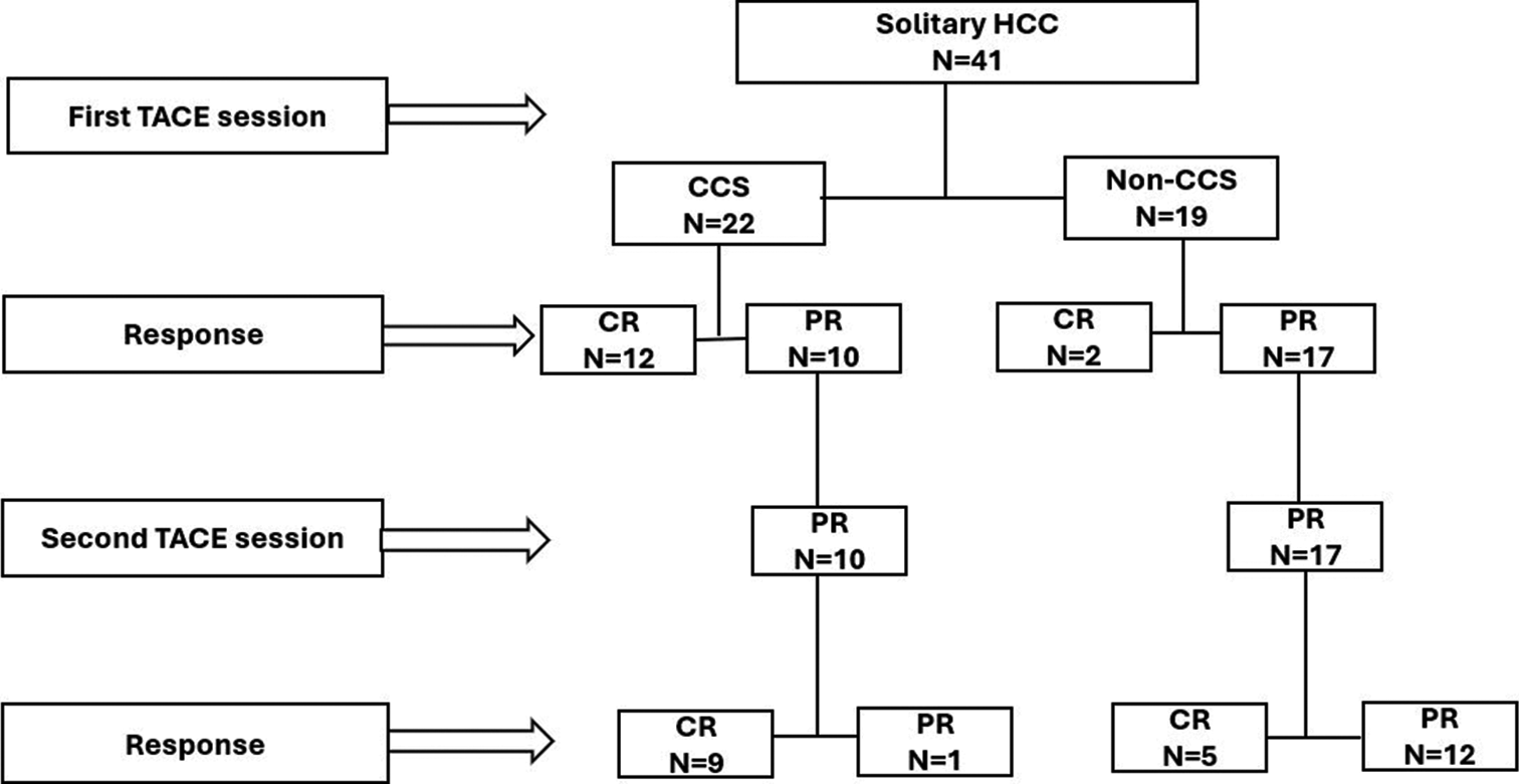 Patient’s flowchart. (HCC: Hepatocellular carcinoma, TACE: Transarterial chemoembolization, CR: Complete response, PR: Partial response, CCS: Complete contrast staining, Non-CCS: Non-complete contrast staining, N: Patient number).